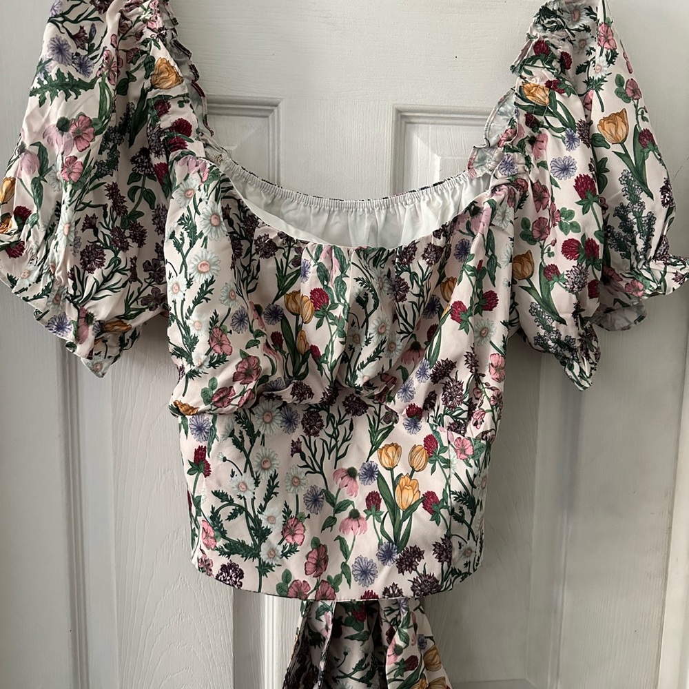 Cider Floral Puff Sleeve Blouse Crop Top Cottagecore Boho Romantic